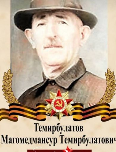 Темирбулатов Магомедмансур Темирбулатович