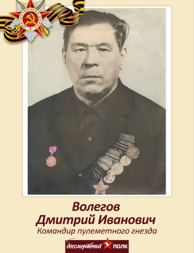 Волегов Дмитрий Иванович