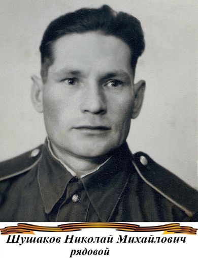 Шушаков Николай Михайлович