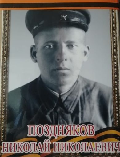 Поздняков Николай Николаевич