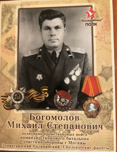 Богомолов Михаил Степанович