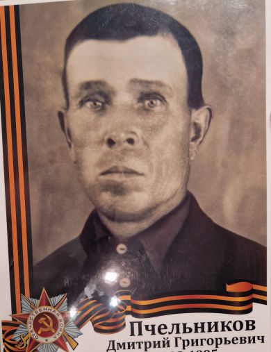 Пчельников Дмитрий Григорьевич