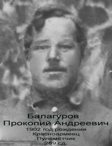 Балагуров Прокопий Андреевич