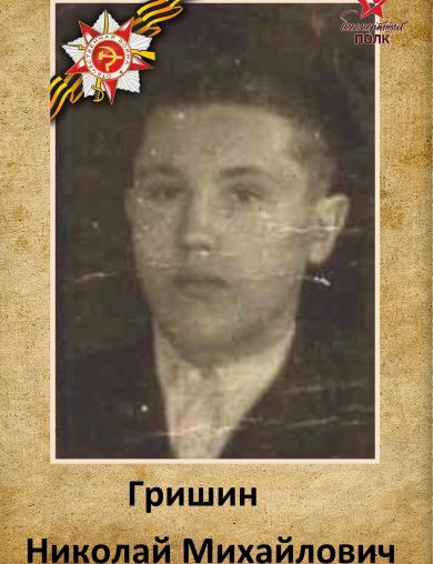 Гришин Николай Михайлович