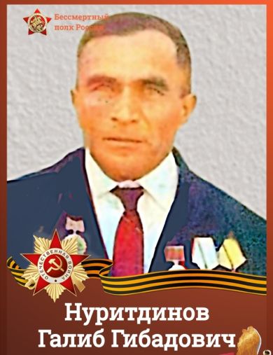 Нуритдинов Галиб Гибадович