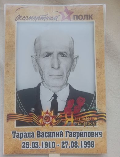 Тарала Василий Гаврилович