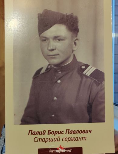Палий Борис Павлович