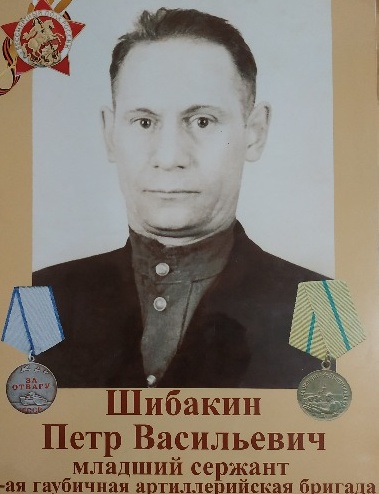 Шибакин Петр Васильевич
