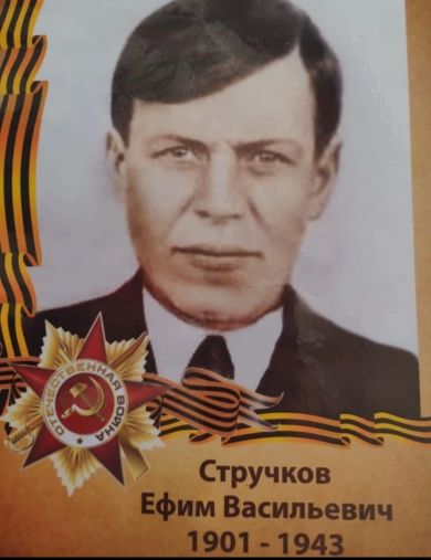 Стручков Ефим Васильевич