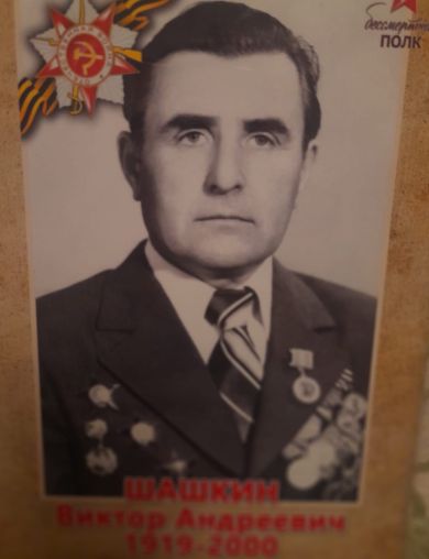 Шашкин Виктор Андреевич