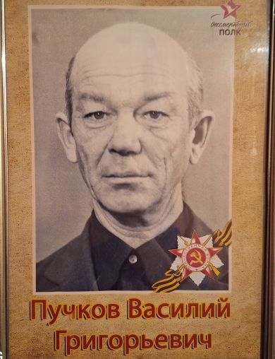 Пучков Василий Григорьевич