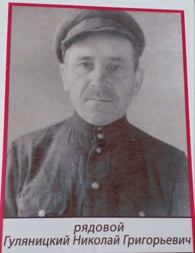 Гуляницкий Николай Григорьевич