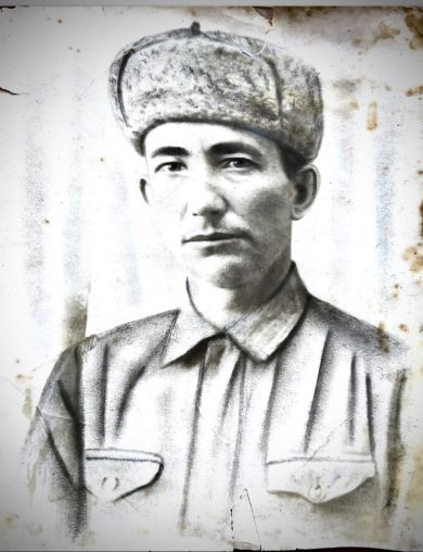 Карпеченко Александр Прокопьевич