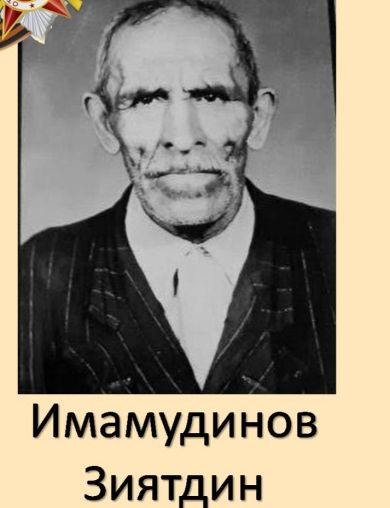 Имамудинов Зиятдин Имамудинович