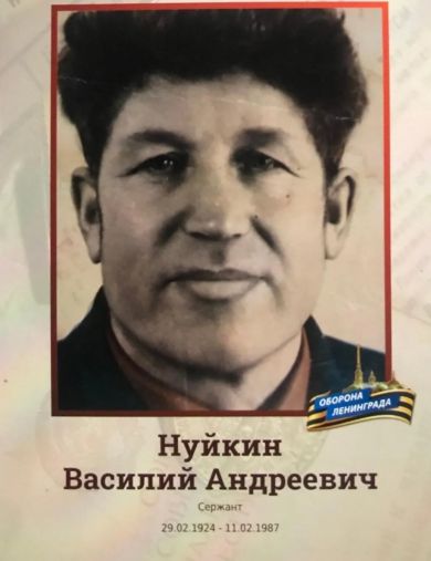 Нуйкин Василий Андреевич