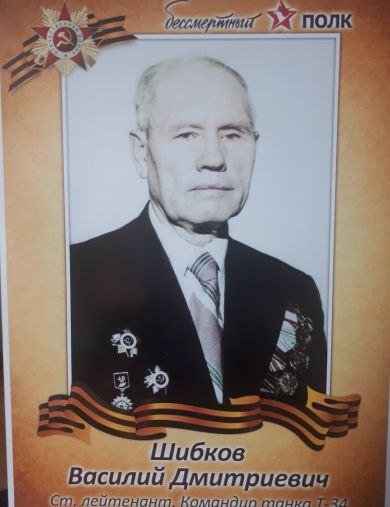 Шибков Василий Дмитриевич
