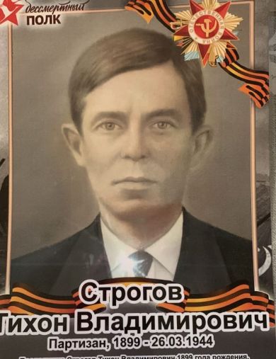 Строгов Тихон Владимирович