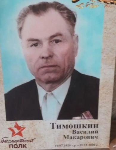 Тимошкин Василий Макарович