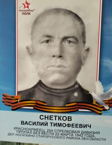 Снетков Василий Тимофеевич