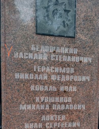 Белошапкин Василий Степанович