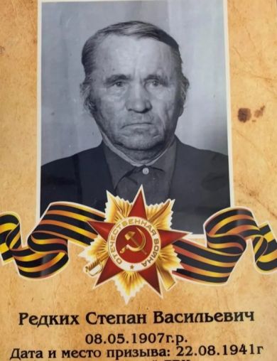 Редких Степан Васильевич