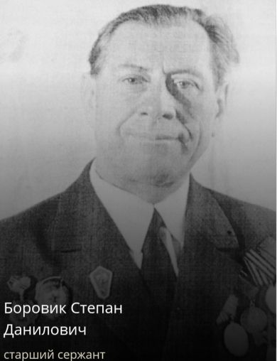 Боровик Степан Данилович