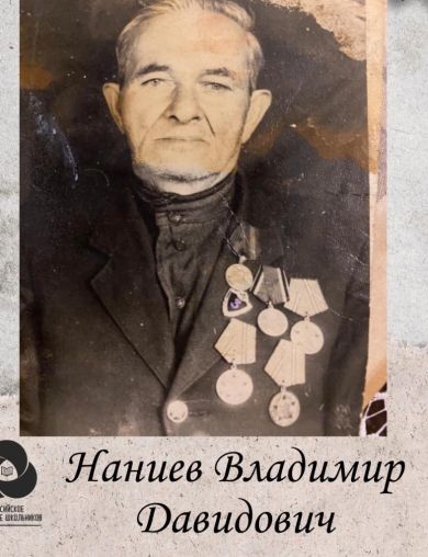Наниев Владимир Давидович