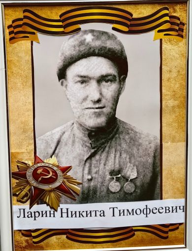 Ларин Никита Тимофеевич