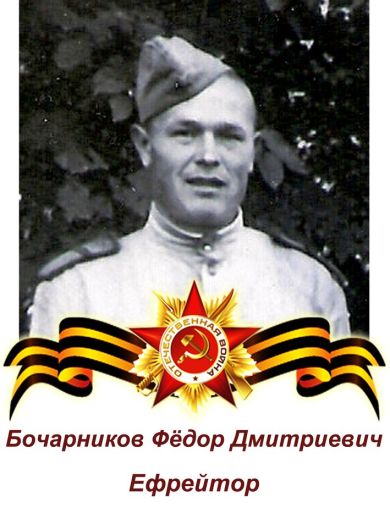 Бочарников Фёдор Дмитриевич