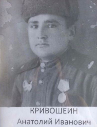 Кривошеин Анатолий Иванович