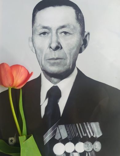 Бадрихафизов Фаик Бадрихафизович
