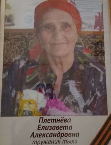 Плетнева Елизавета Александровна
