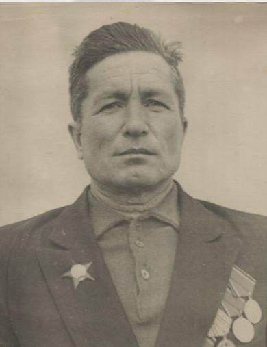 Шарапов Мусагит Гимаевич