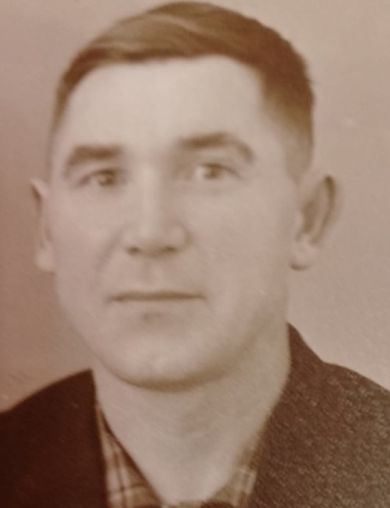 Лапин Николай Павлович
