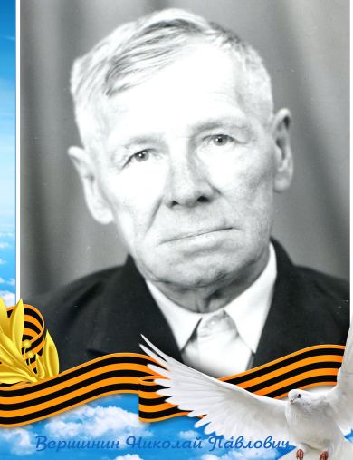 Вершинин Николай Павлович