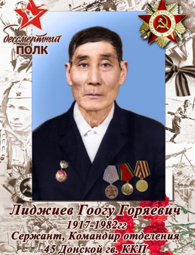Лиджиев Гогу Горяевич