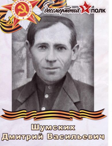 Шумских Дмитрий Васильевич