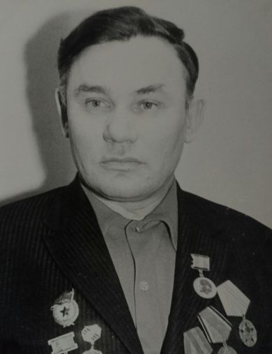 Вольнов Тимофей Дмитриевич