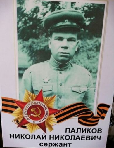 Паликов Николай Николаевич