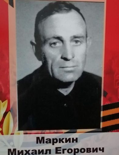 Маркин Михаил Егорович