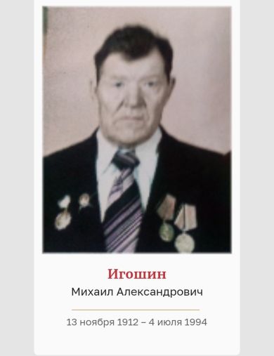 Игошин Михаил Алексанрович