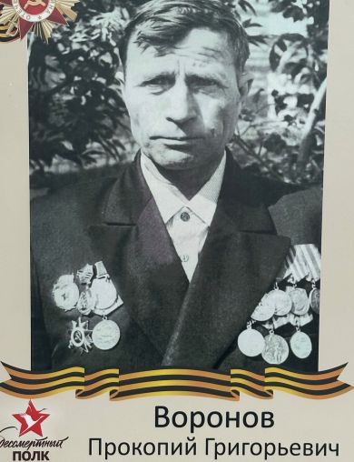 Воронов Прокопий Григорьевич