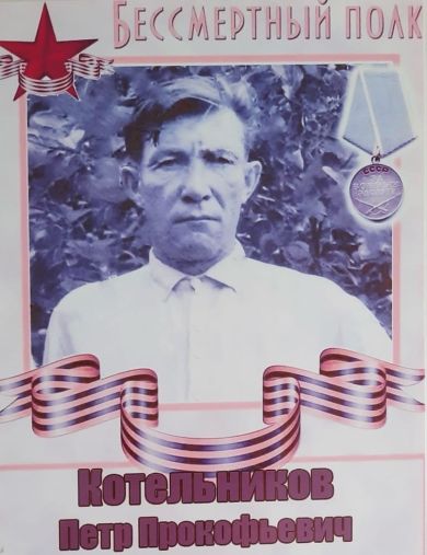Котельников Петр Прокофьевич