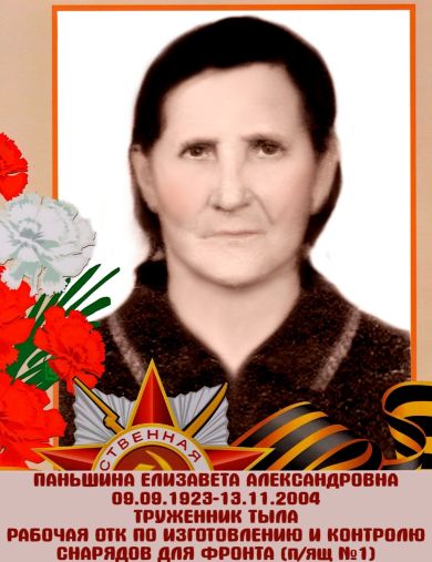 Паньшина Елизавета Александровна