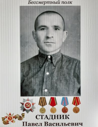 Стадник Павел Васильевич