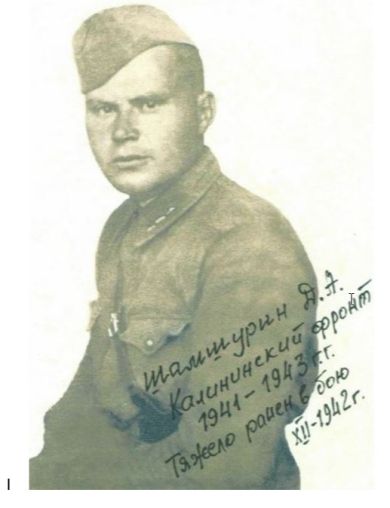 Шамшурин Дмитрий Андреевич