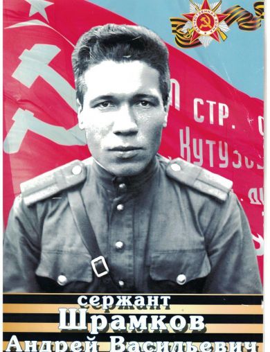 Шрамков Андрей Васильевич