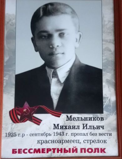 Мельников Михаил Ильич