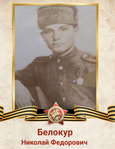 Белокур Николай Федорович