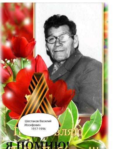 Шестаков Василий Иосифович